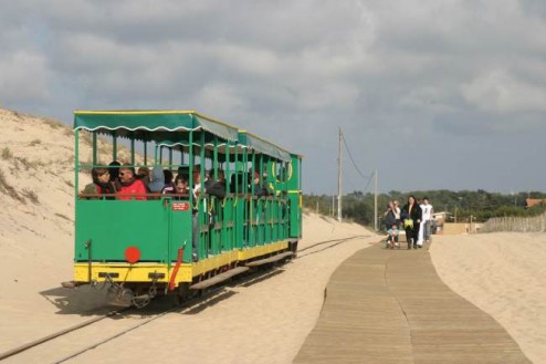 33LegeCapFerret03