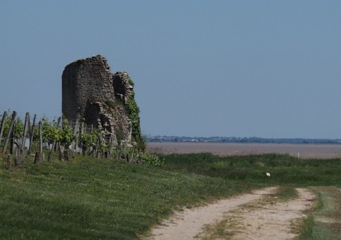 Forteresse de Castillon