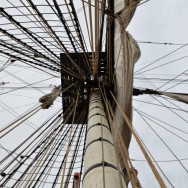 17hermione44