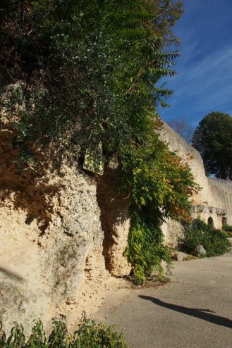 Falaise de Ste-Croix-du-Mont