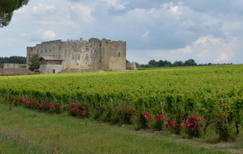 33ChateauDeFargues01