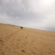 Montée de la Dune côté mer