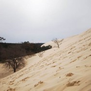 La Dune côté forêt