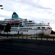 33_Amadea_2015_02