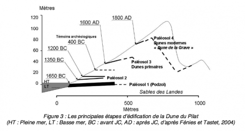 33DunePyla_CoupePaleosols